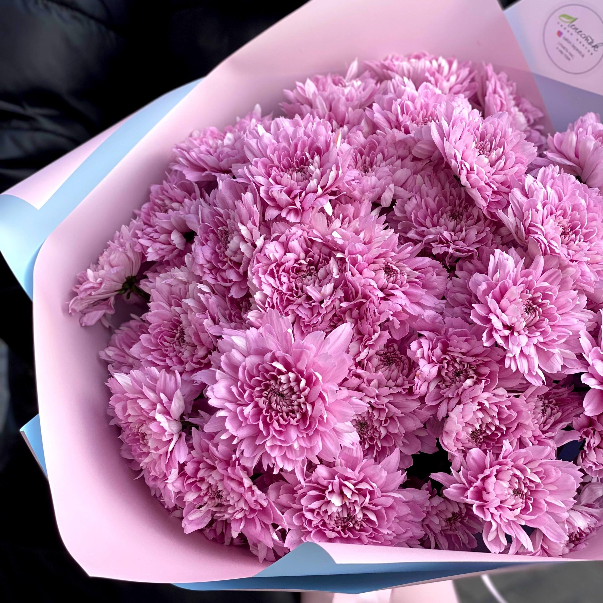 56650e12-bb22-4b81-a7c9-251158837b6b