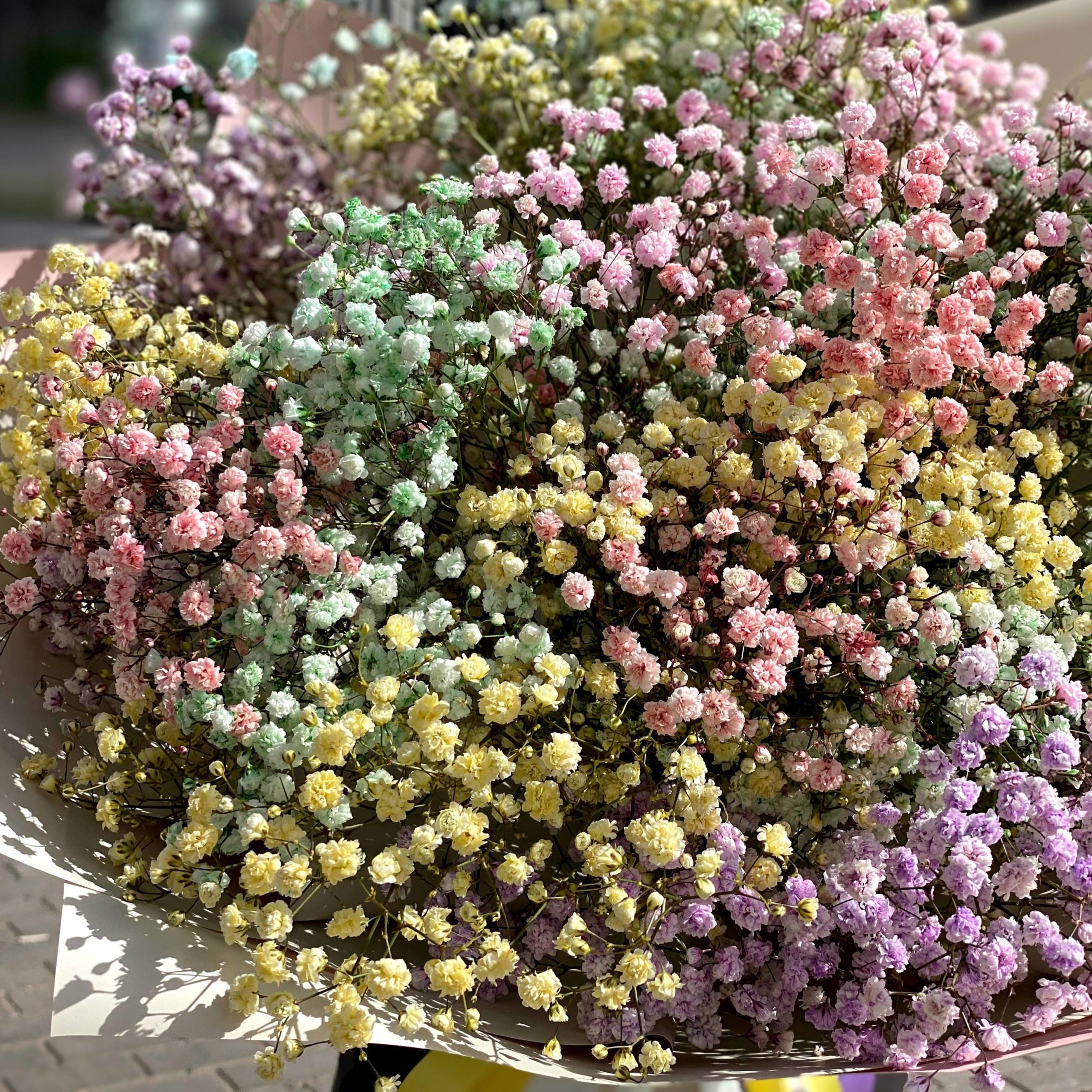 b8b85863-19e6-4bf0-9f9f-93aa869ed057